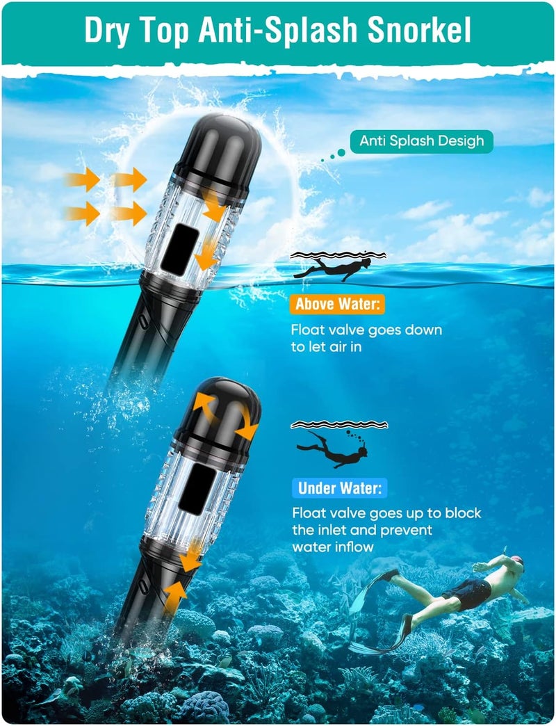 Seovediary Snorkel Set Adults Snorkeling Gear Anti-Fog Panoramic View Swim Mask Dry Top Snorkel Kit with Carry Bag for Snorkeling Scuba Diving Swimming Travel - Image 5